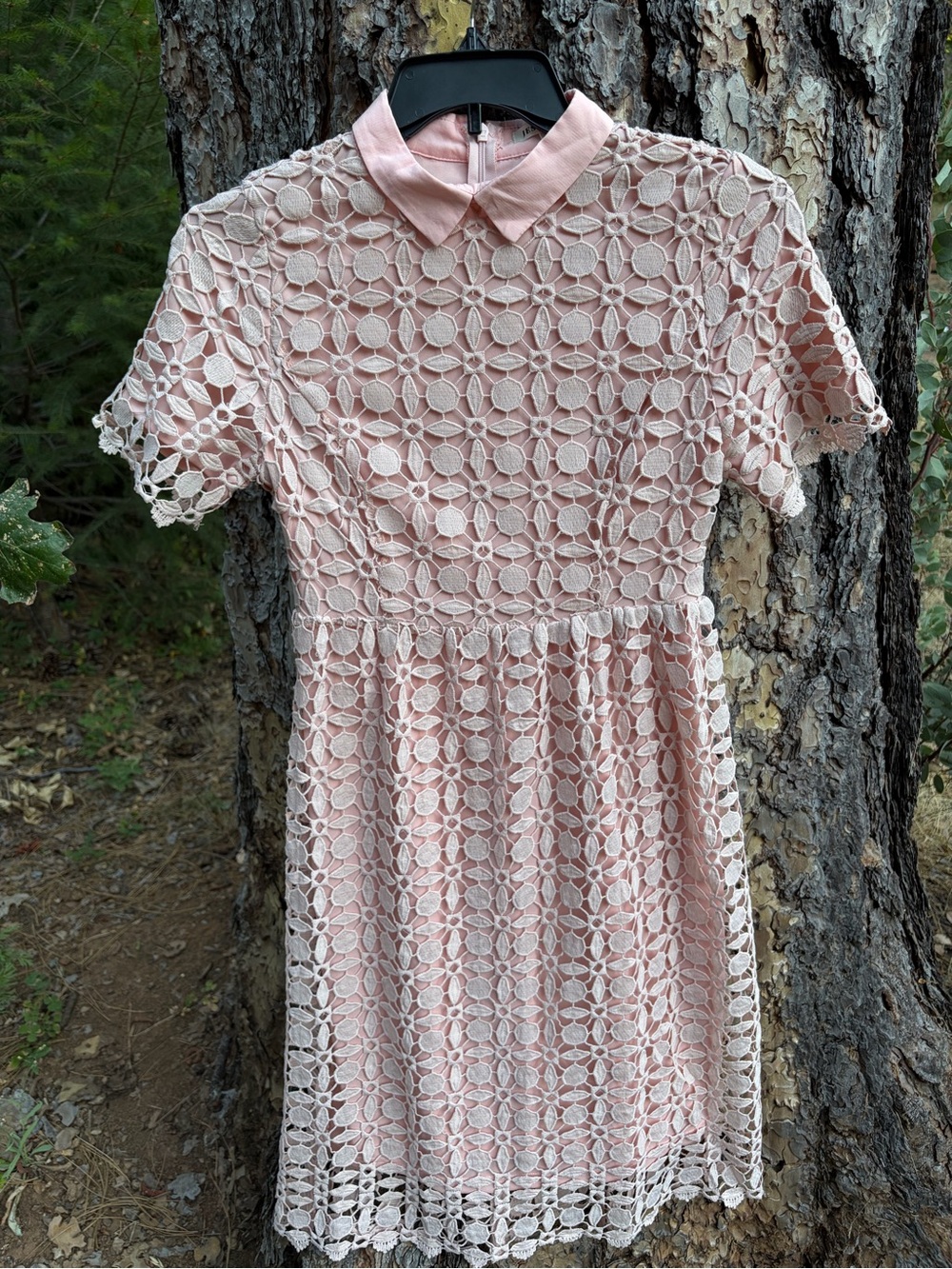 JessaKae Blush Pink Floral Lace Peter Pan Collar Dress